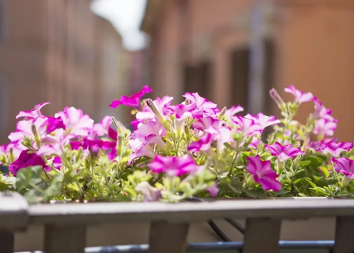 Lady Capulet Appartement *